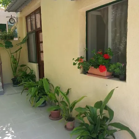 Apartment Darinka